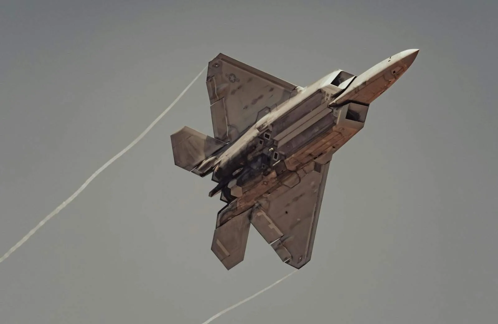 How Does Nopal Cactus Aid In Reducing Joint Pain?