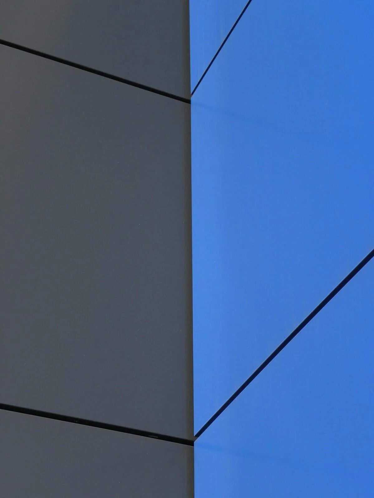 How Does Nopal Cactus Support Healthy Hair And Nails?