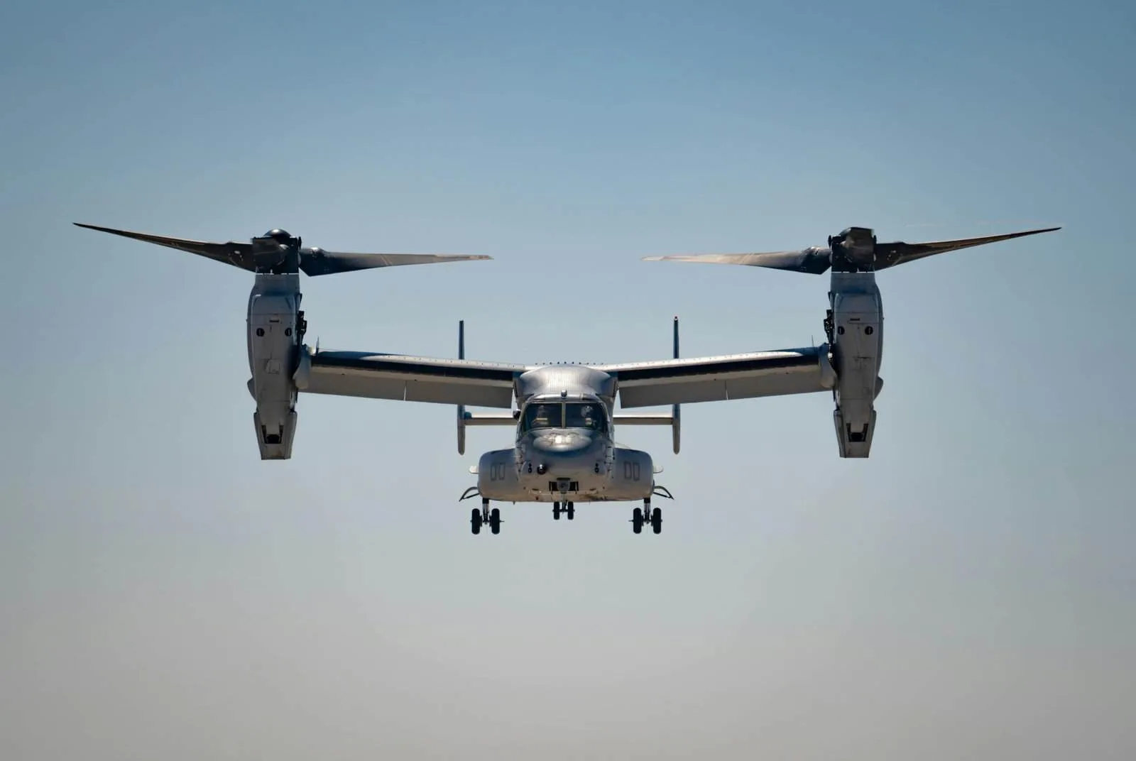 How To Manage Nopal Cactus Growth In Urban Gardens?